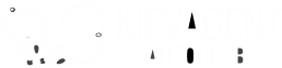 KievVagent Autoclub